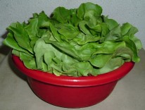 lagerung salat